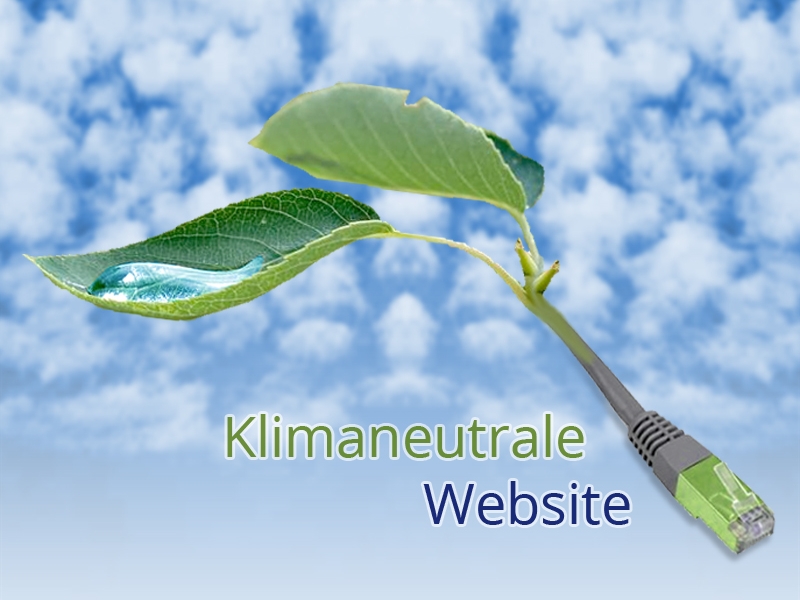 FAQ Klimaneutrale Website © interact!multimedia