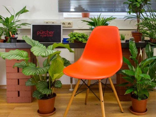 Werbeagentur Pürcher & Partner