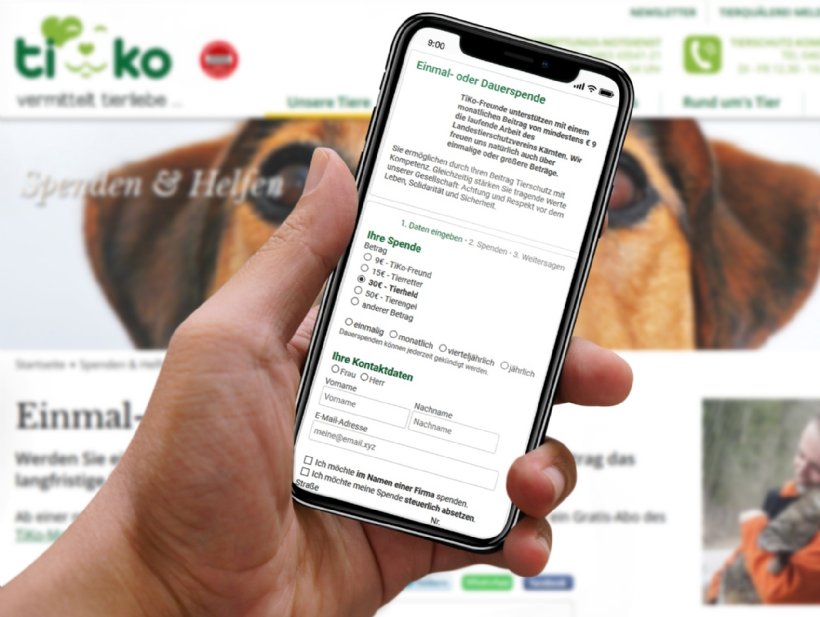 Einfache Spendenmöglichkeiten