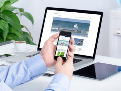 Website "Gaisbauer Beratung & Training"