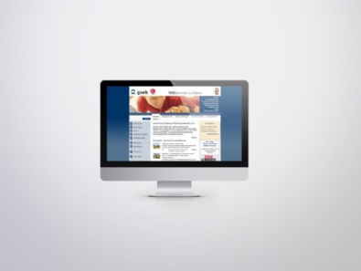 Fallstudie: Suchmaschinen-Optimierung "gswb"