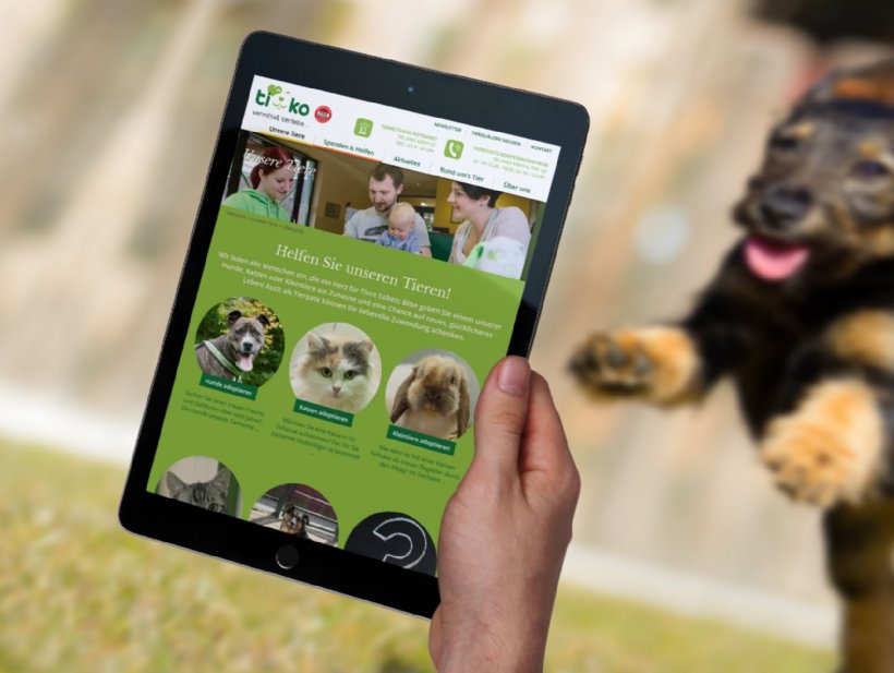 Alle unsere Weblösungen sind selbst wartbar