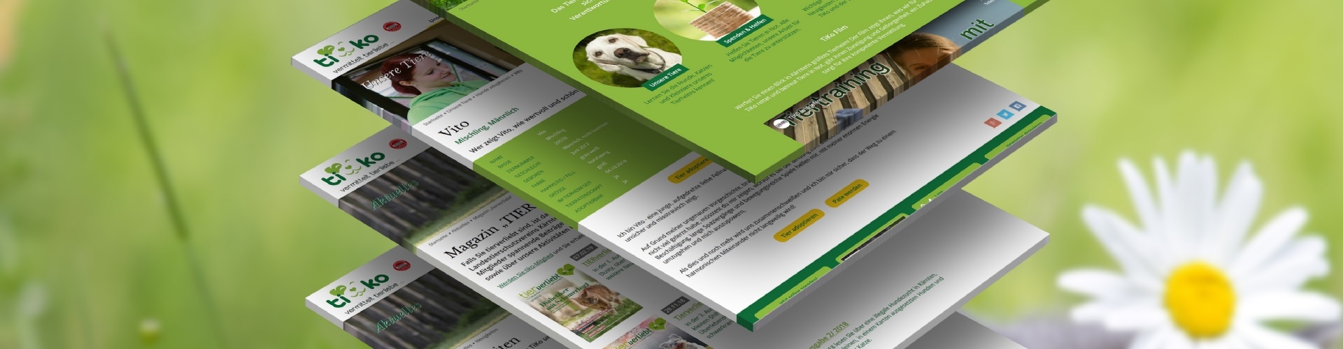 Website-Relaunch<br />Tierheim Klagenfurt