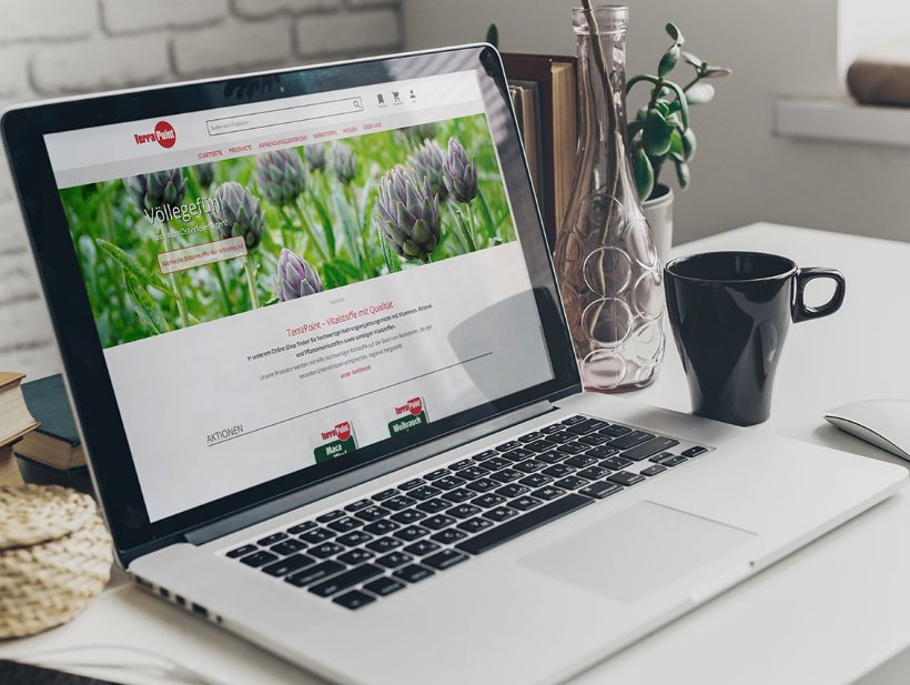 Terrapoint Relaunch 2023