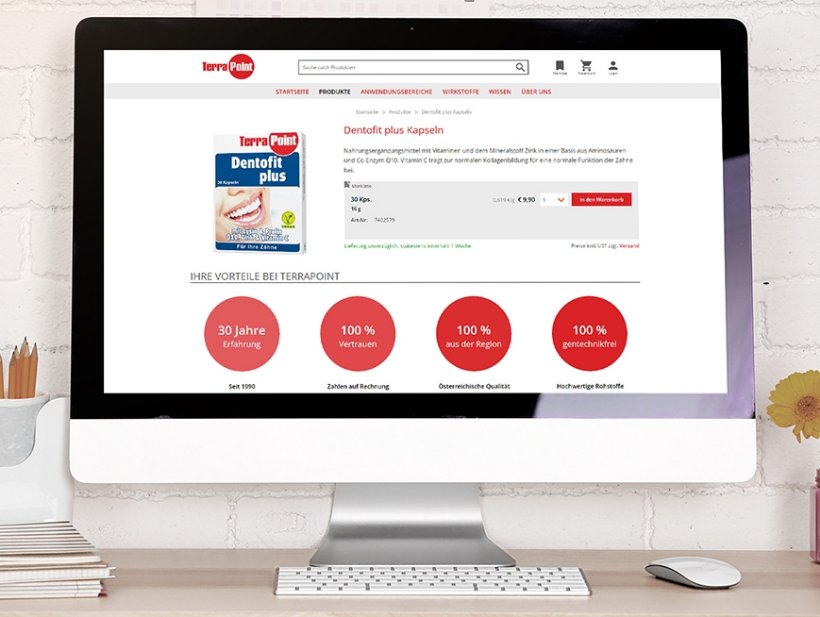 Terrapoint Relaunch 2023